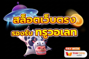 True Wallet ฝากถอนอัตโนมัติ
